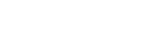 Logo Newdeal Business Institut Bordeaux